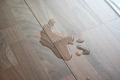 sàn gỗ chống thấm